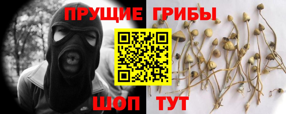 Псилоцибиновые грибы Cubensis  Псилоцибиновые грибы Magic Shrooms  Вход с VPN  Крымск 